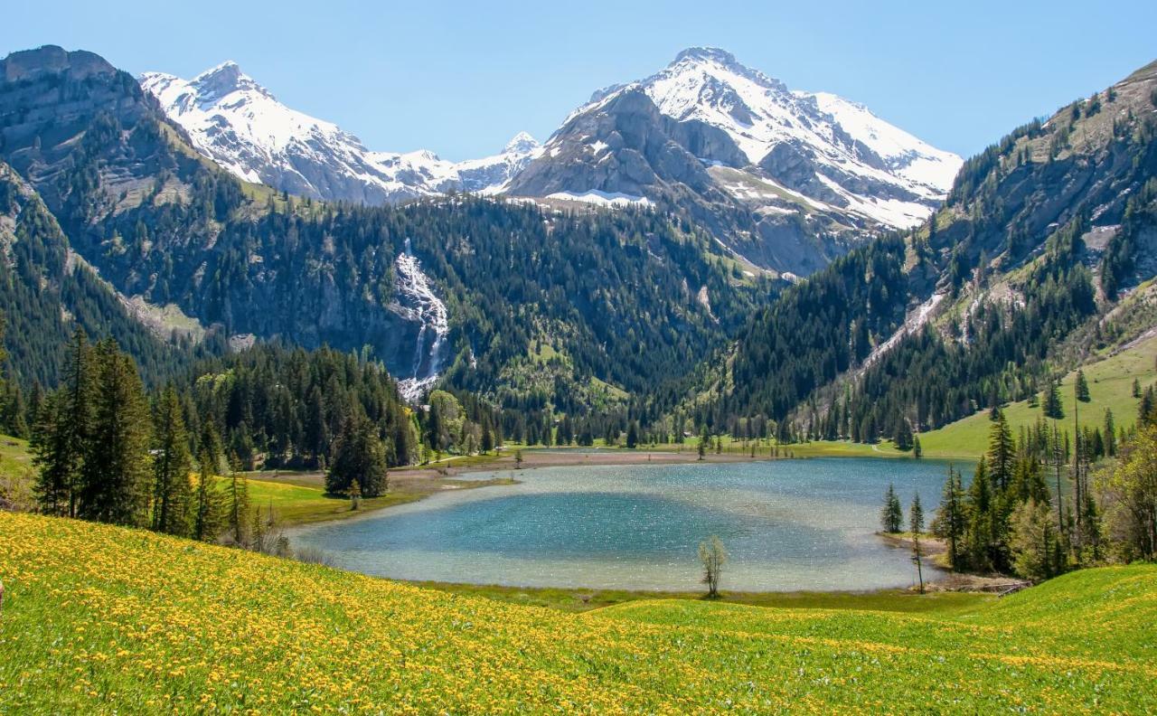 Hotel Alpenland グスタード エクステリア 写真